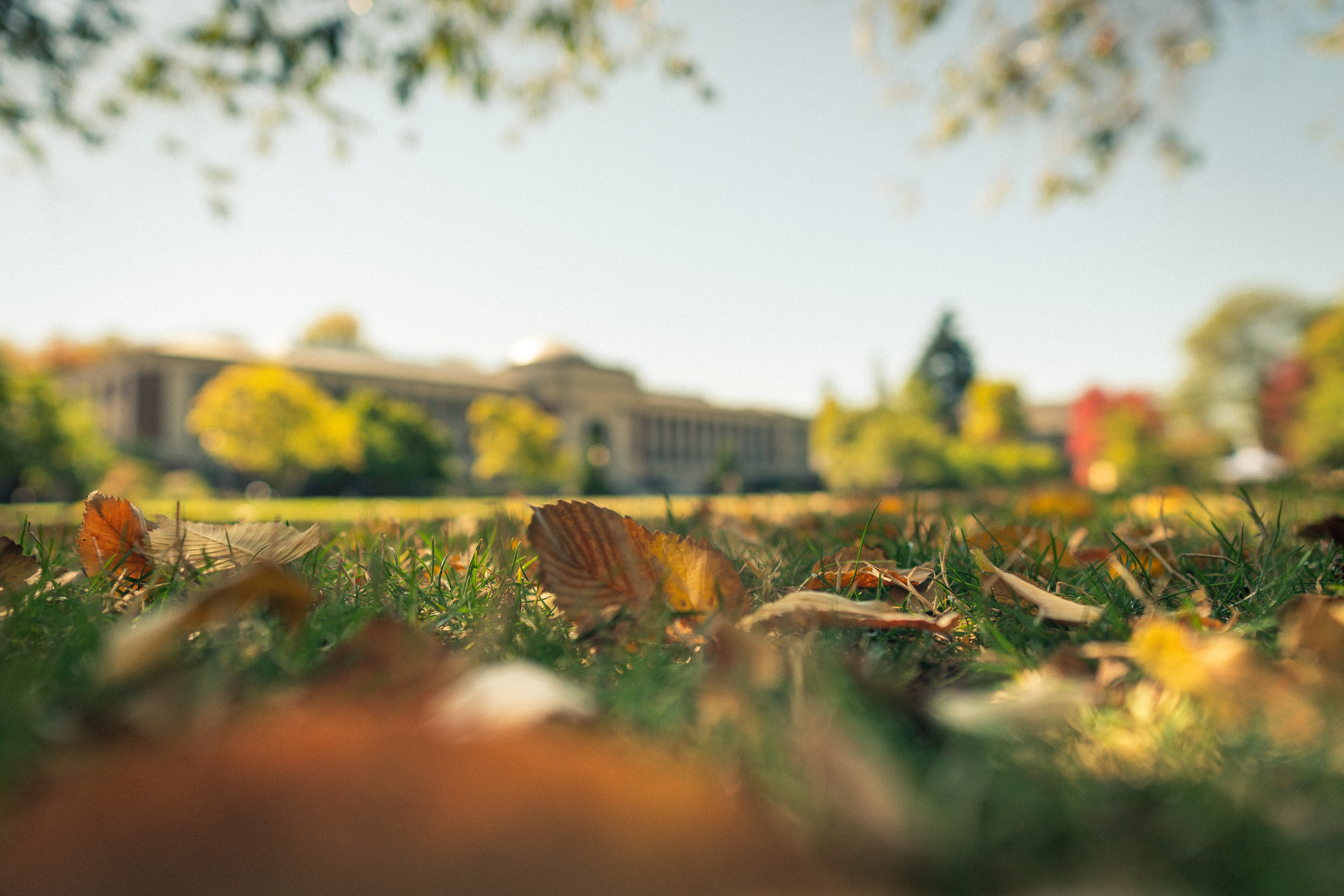 Grass lawn in front of the Memorial Union